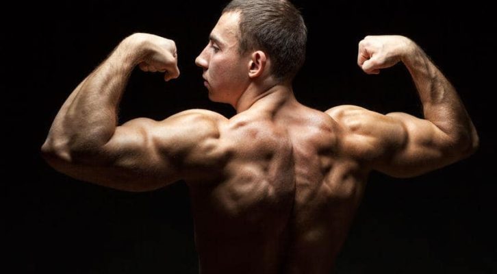 Clenbuterol-vs-Albuterol-Why-they-are-used.jpg