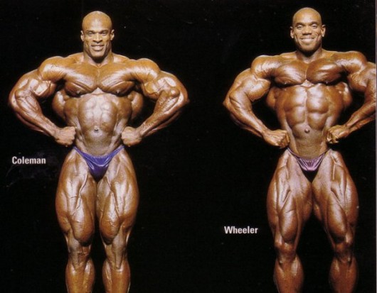 flex-wheeler-cycle_03.jpg