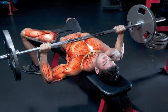 bench-press.jpg